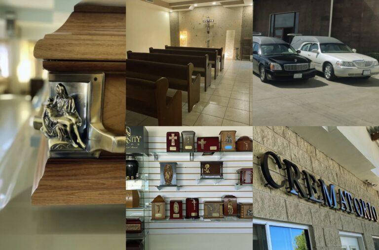 Imagen 05 09 25 a las 8.57 a.m 768x508